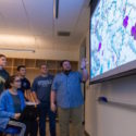 $650,000 NSF grant will support computational research and education