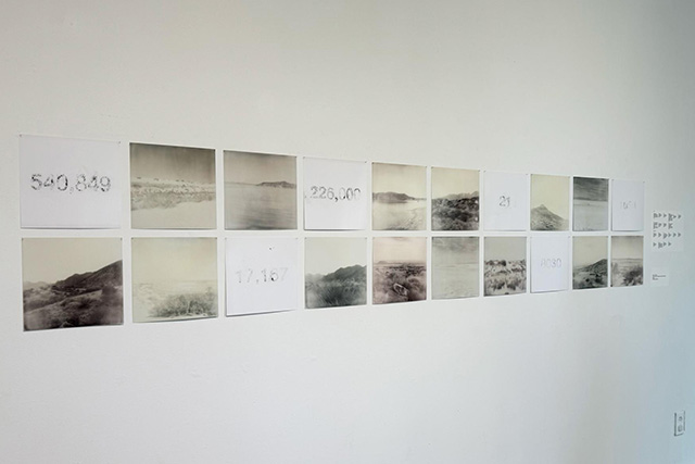 Belinda Haikes artwork