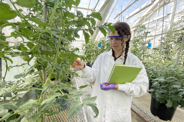 Ellie Krieder in the lab with plants